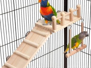 Bird Perches Platform Swing with Climbing Ladder
